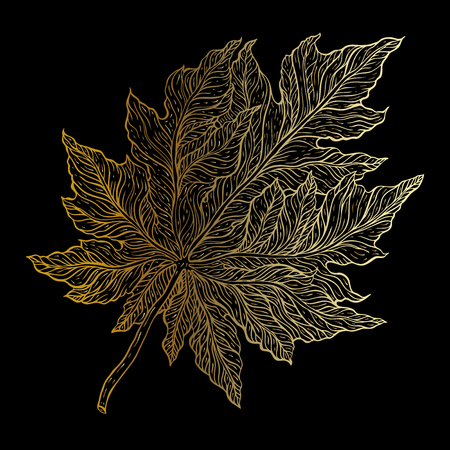Outline Leaf. Hand drawn Monochrome realistic illustrationのイラスト素材