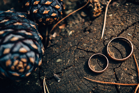 Wedding rings on woodの写真素材
