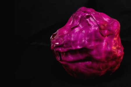 Insalata trevisanaの写真素材