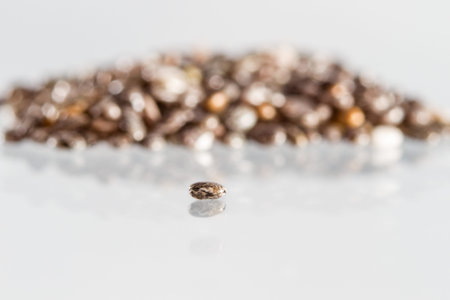 Chia seedsの写真素材