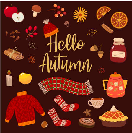set of various autumn items isolated on transparent background. mushrooms, berries, knitted scarf. sweater, cocoa in a cup, pie. vector illustrationのイラスト素材