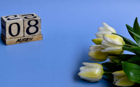 Flatlay of tulips on a blue paper background.の写真素材