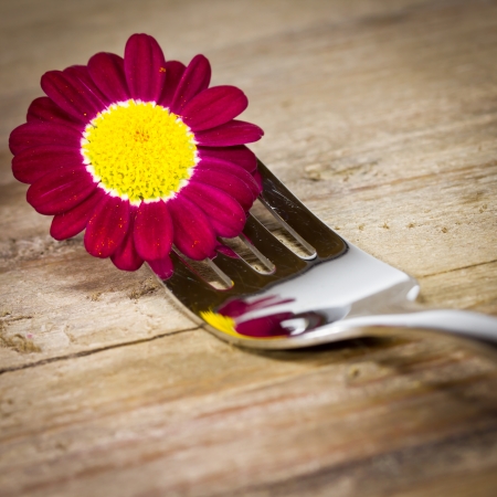 fork with flowerの写真素材