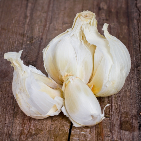 garlicの写真素材