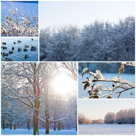 winterの写真素材