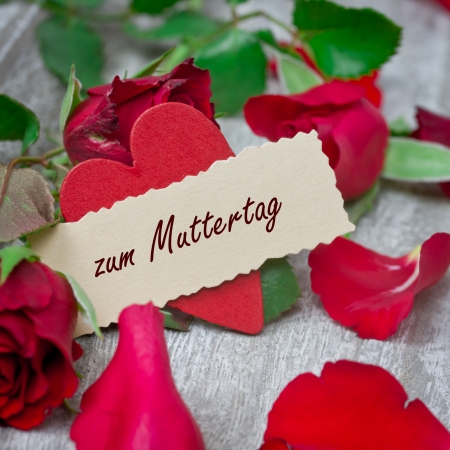 rosesの写真素材