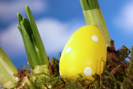 easter eggの写真素材