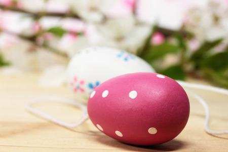 easter eggsの写真素材