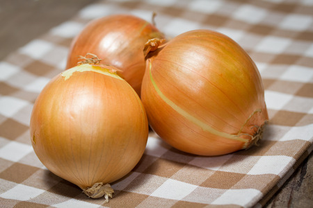 onionsの写真素材