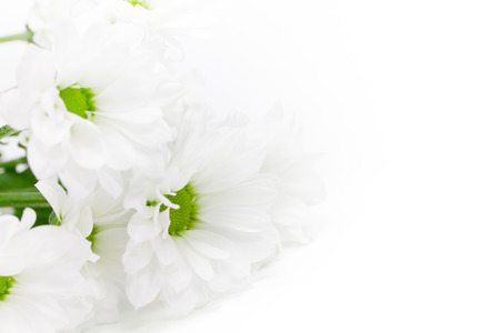 flowersの写真素材