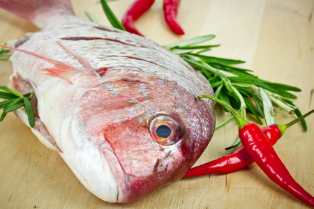 gilthead on wooden backgroundの写真素材