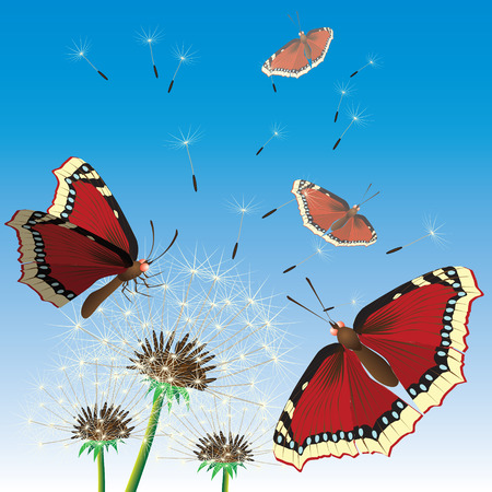 Butterflies sittings on dandelions. Vectorial illustration.のイラスト素材
