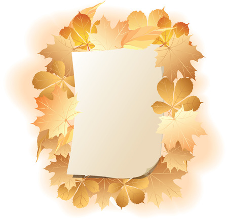 Paper sheet on a background autumn leaves.のイラスト素材