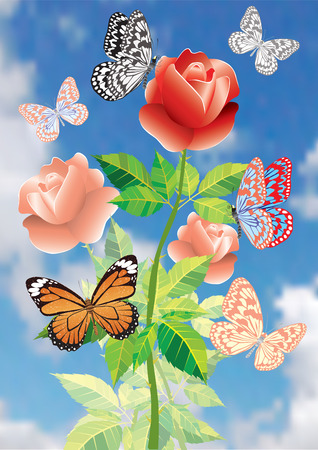 A flower is a rose.のイラスト素材