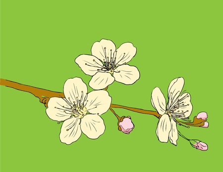 Design floral element illustration.のイラスト素材