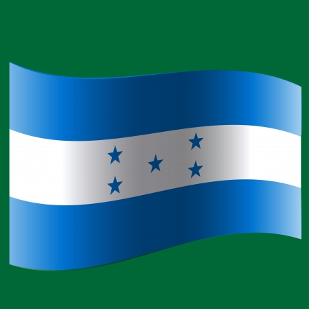 The flag of the country のイラスト素材