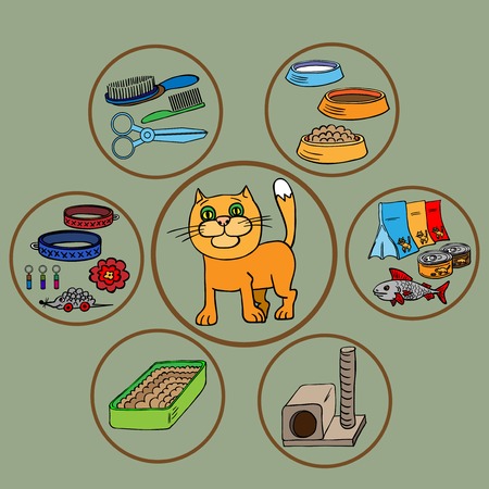 Infographics. Domestic cats and all that is necessary for the maintenance and care.のイラスト素材