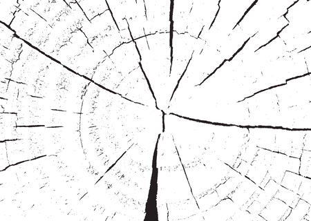 Wooden wall. Wood texture. Fiber and crackのイラスト素材