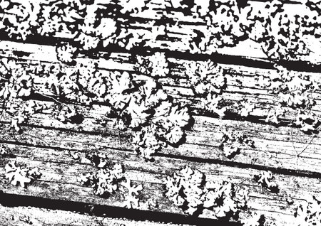 Wooden wall. Wood texture. Fiber and crackのイラスト素材