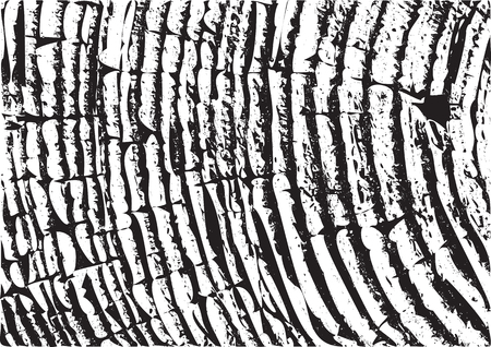 Wooden wall. Wood texture. Fiber and crackのイラスト素材