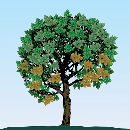 Vector image of a tree with green foliage. The theme of nature and or green spaces. Vector illustration.のイラスト素材