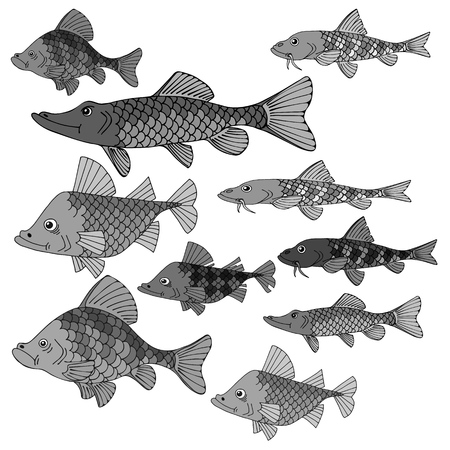 Set of sea fish. Underwater world. Great silence of the depths. Vector illustration in gray colors.のイラスト素材
