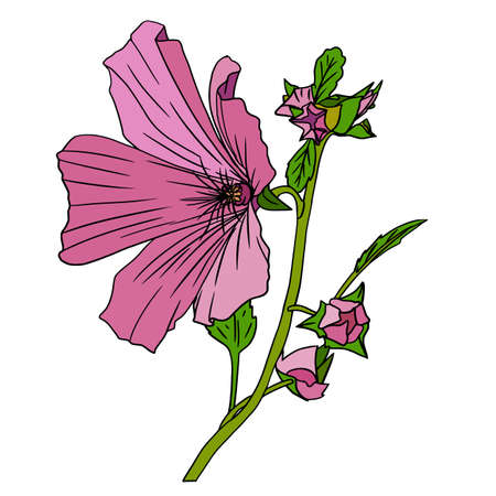 Multicolored spring flowers. Nature is blooming and joyful.のイラスト素材