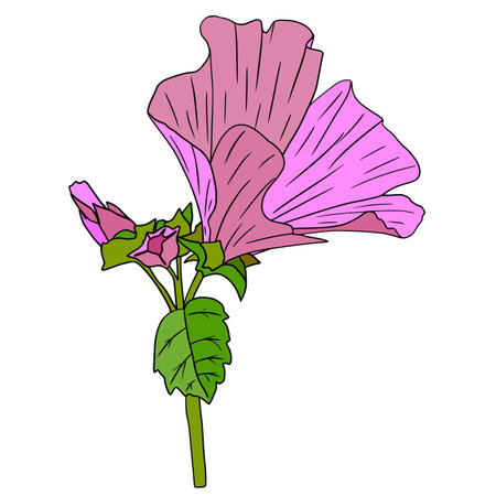 Multicolored spring flowers. Nature is blooming and joyful.のイラスト素材
