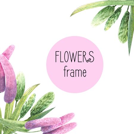 Hand-drawn watercolor square frame with meadow small flowers and herbs on white background. Design for cards, invitations, flyers.のeditorial素材