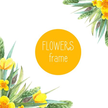 Hand-drawn watercolor square frame with meadow small flowers and herbs on white background. Design for cards, invitations, flyers.のeditorial素材