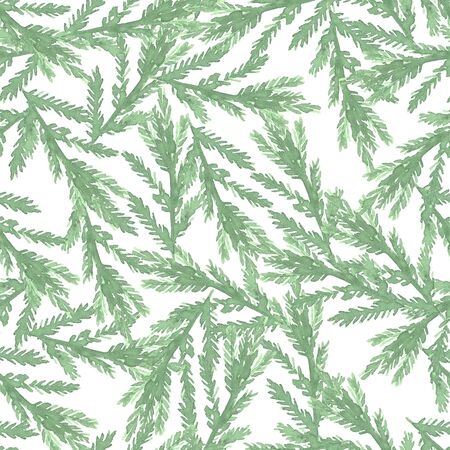 seamless pattern watercolor drawing botanical, branches of spruce, pine, isolated objectの写真素材