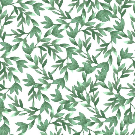 seamless pattern watercolor olive branch. Sketch of olive branch on white backgroundの写真素材