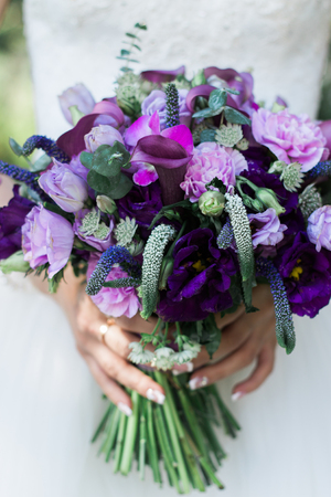 bright violet bouquetの写真素材