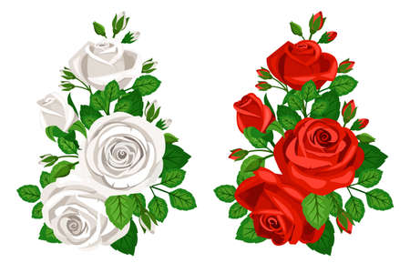 Beautiful bouquets with red and white roses budsのイラスト素材