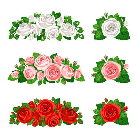 Beautiful roses with buds isolated on white backgroundのイラスト素材