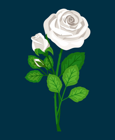 Cool white rose bud flower isolated vectorのイラスト素材