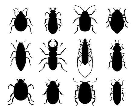 Collection of silhouettes of different beetlesのイラスト素材