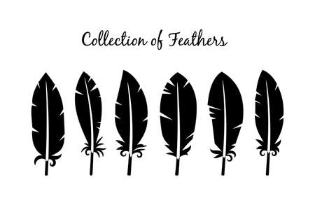 Six different black silhouettes of cute bird feathersのイラスト素材