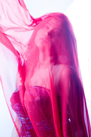 indian female model in red veilの写真素材