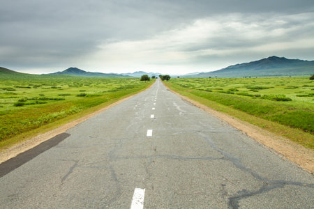 The road between the picturesque green meadows against a backdrop of sky, Mongolia.の写真素材