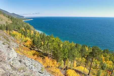 Baikal Lake autumn sunny afternoon. Beautiful autumn coastal larch yellowed forest on the background of the lake Baikal. Natural backgroundの写真素材