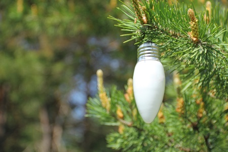 Ecological concept symbolizing the unity of nature and technologyの写真素材