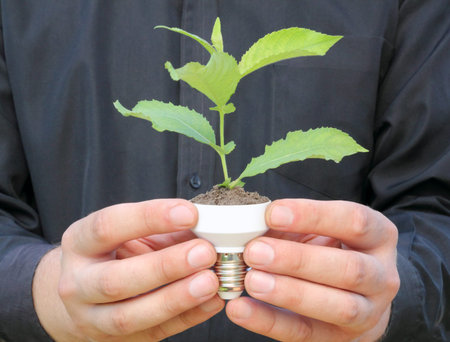 ecological concept symbolizing the unity of nature and technology