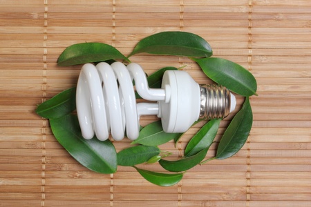 concept, symbolizing the ecological compatibility of energy saving bulbsの写真素材