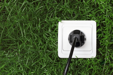 ecological concept, symbolizing renewable energy, bio energyの写真素材