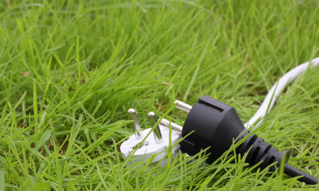 switchplug lying on the grass, energy concept