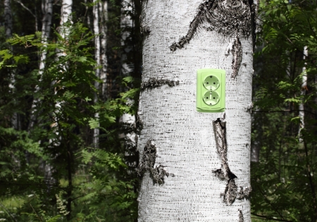 ecological concept, symbolizing renewable energy, bio energyの写真素材