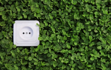 ecological concept, symbolizing renewable energy, bio energyの写真素材