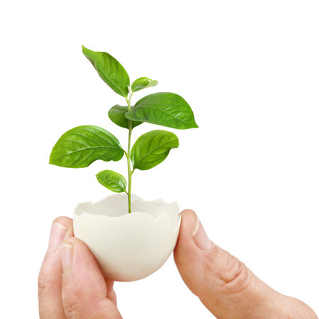 concept, symbolizing new life or new initiative