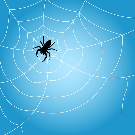 Spider sits on web - outline of cobwebのイラスト素材